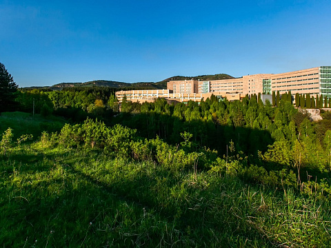 Санаторий «Заря», Кисловодск. Территория